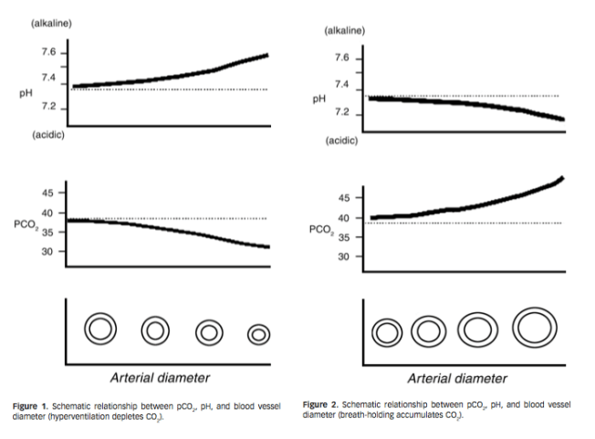 CO2 øker blodsirkulasjon