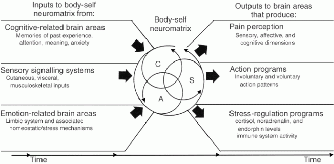 bodyselfneuromatrix