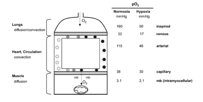 Skjermbilde 2013-06-23 kl. 10.37.19