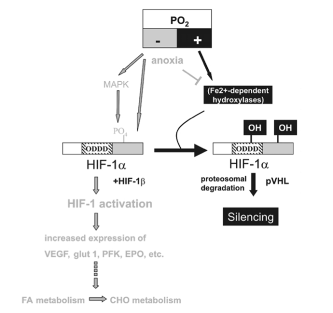 Skjermbilde 2013-06-23 kl. 10.49.54