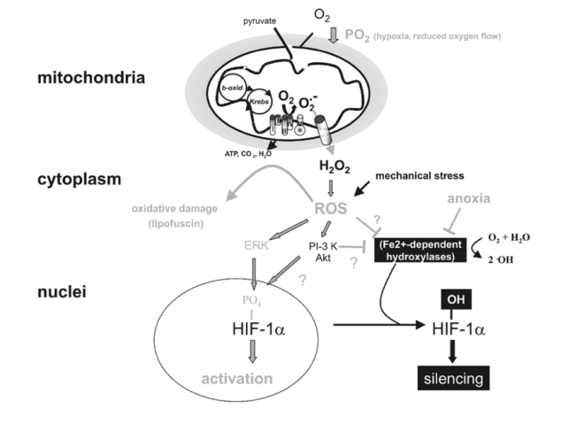 Skjermbilde 2013-06-23 kl. 11.00.33