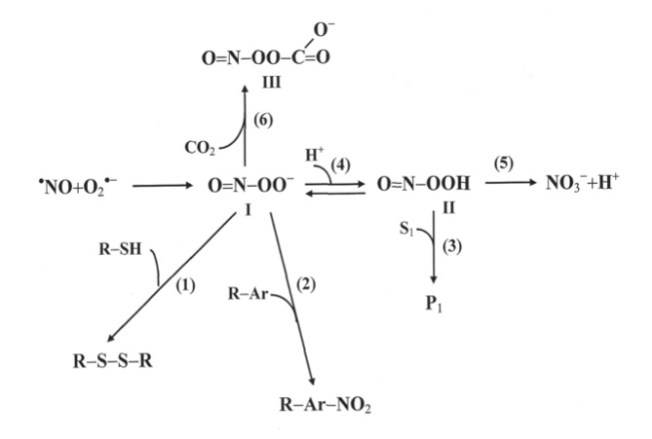 CO2 er en antioksidant
