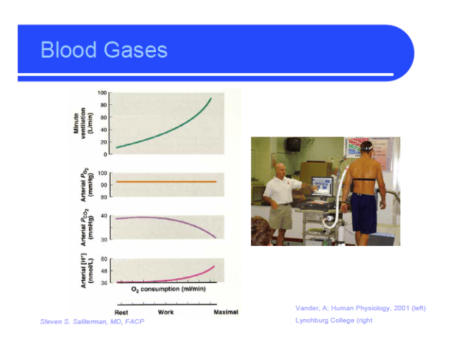 blood gases