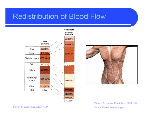 redistribution of blood flow
