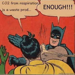 batman Co2 enough
